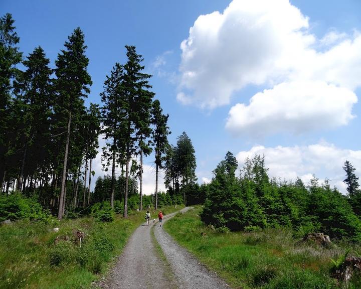 Jagdstube im Hotel Jagdhaus Wiese